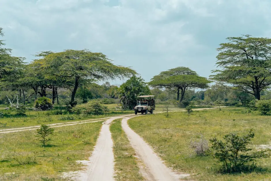 safari vehicle hire in Kenya